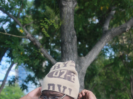 DVLP Beanie
